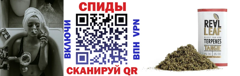 даркнет сайт Назрань Бутират 99%