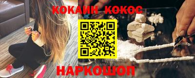 шишки Дубна
