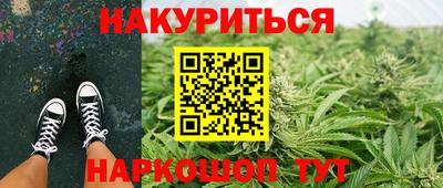 шишки Дубна