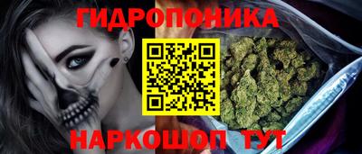 шишки Дубна