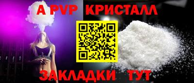 шишки Дубна