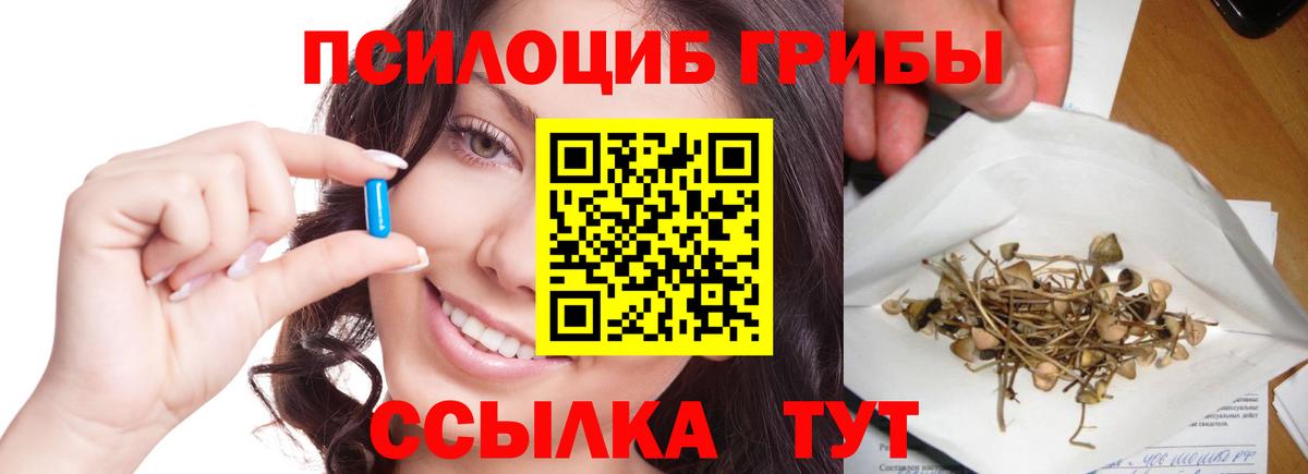 Назрань  Псилоцибиновые грибы Magic Shrooms  Галлюциногенные грибы MAGIC MUSHROOMS  Вход с VPN 