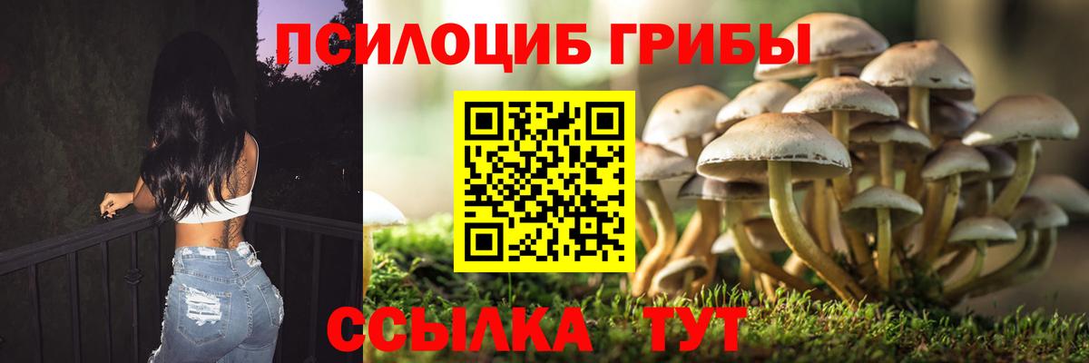Галлюциногенные грибы прущие грибы Назрань